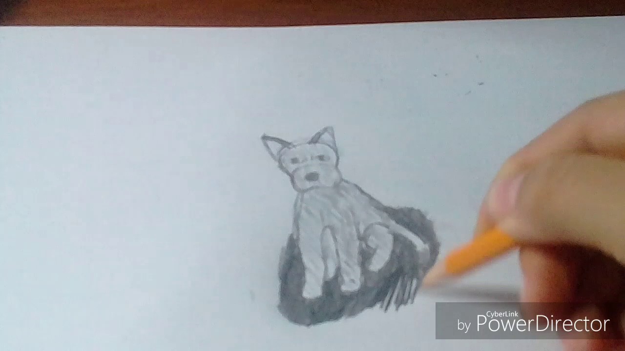Como dibujar un perrito