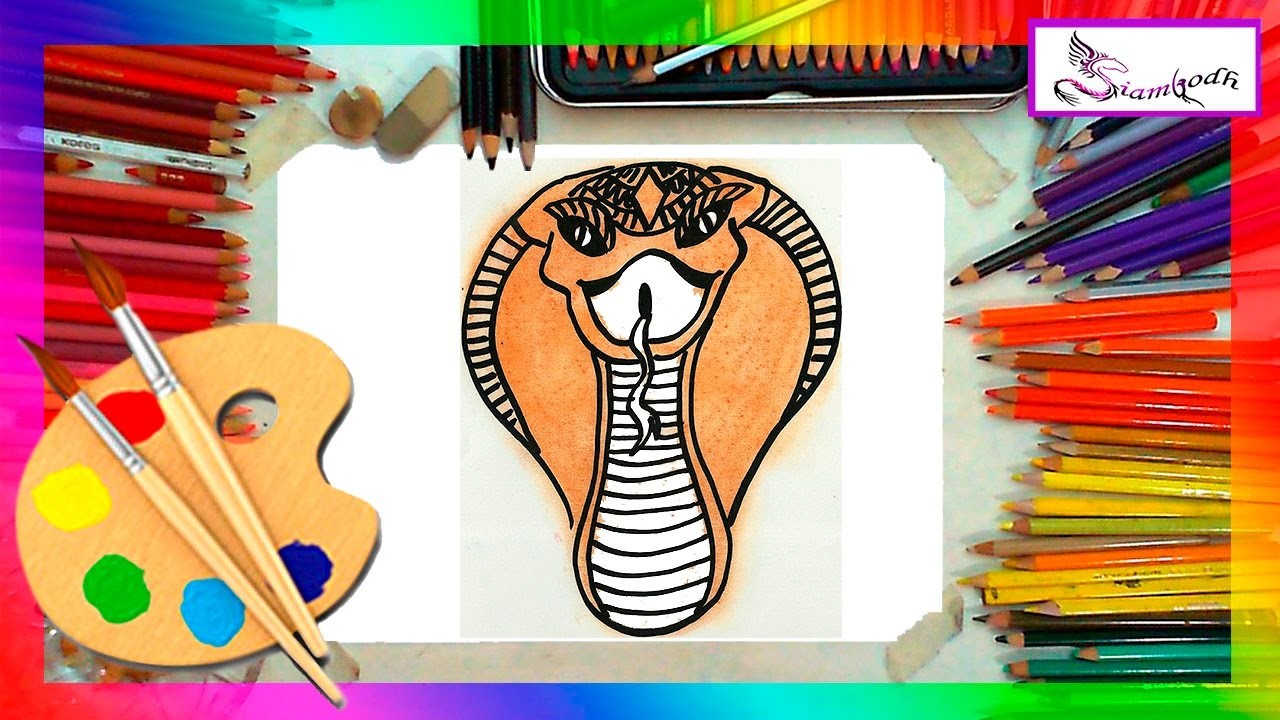 Como Dibujar una Serpiente Dibujo Fácil para Niños
