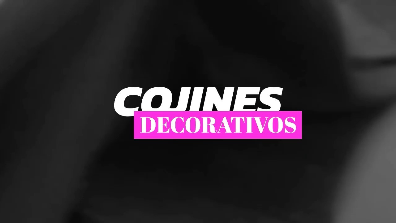 Cojines Decorativos Diy