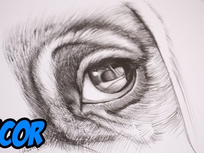 Como Dibujar Ojos de Perro Cachorro - Lapiz