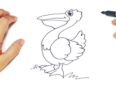 Como dibujar un Pelicano paso a paso | Dibujo facil de Pelicano