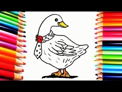 Dibuja y Colorea Cisne - Dibujos Para Niños - Learn Colors