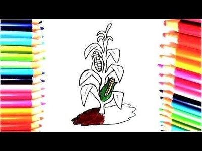 Dibuja y Colorea Maíz - Dibujos Para Niños - Learn colors