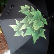 paraguas hojas