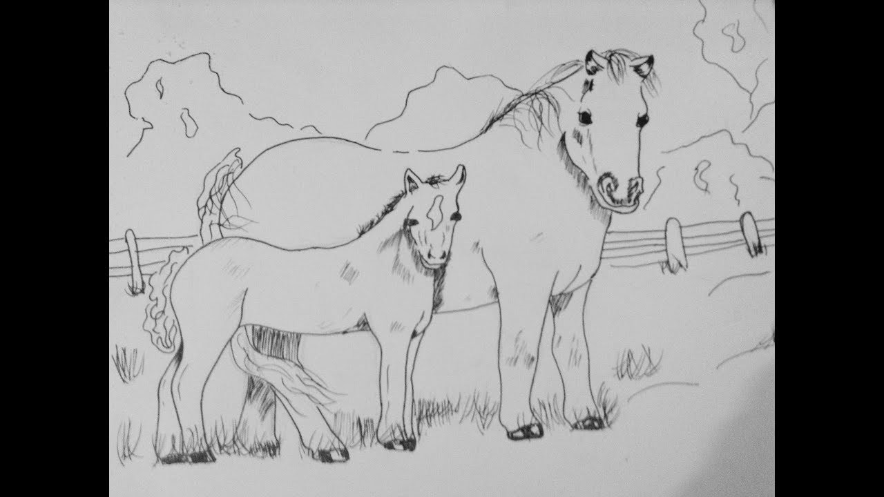 Speed drawing .Como Dibujar caballos realistas.( Narrado )