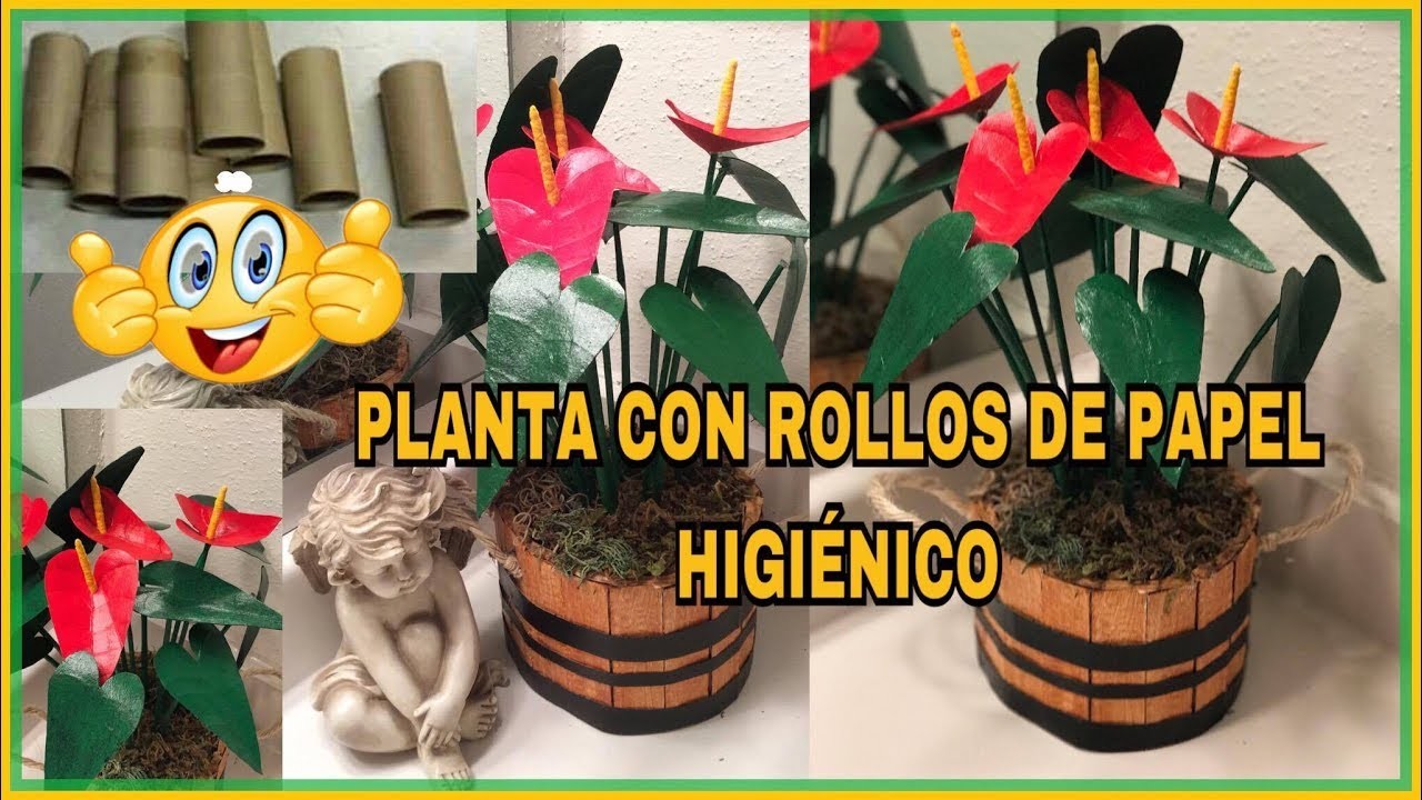 PLANTA CON ROLLOS DE PAPEL HIGIÉNICO # 3