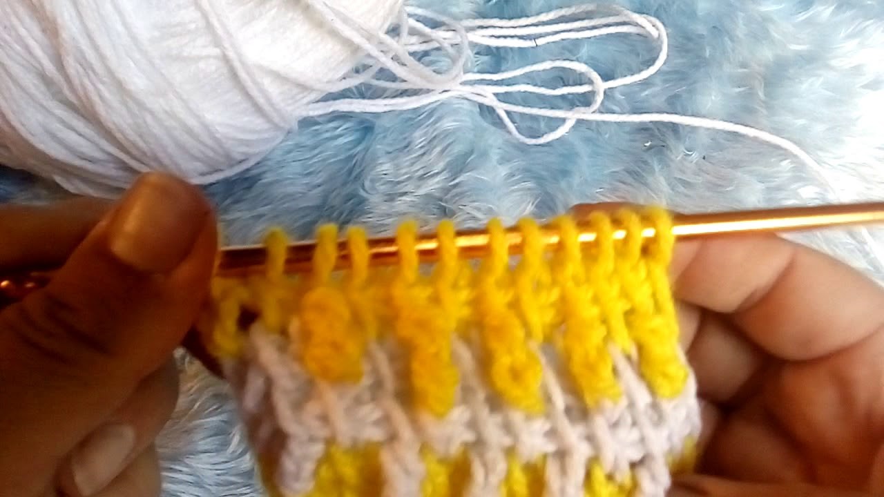 Tuneçino: punto bicolor #3