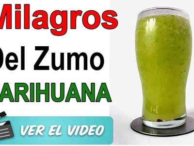 El Zumo De Hojas De Marihuana Espectacular Para La Salud ¡Mira Los Beneficios Que Tiene Esta Planta!