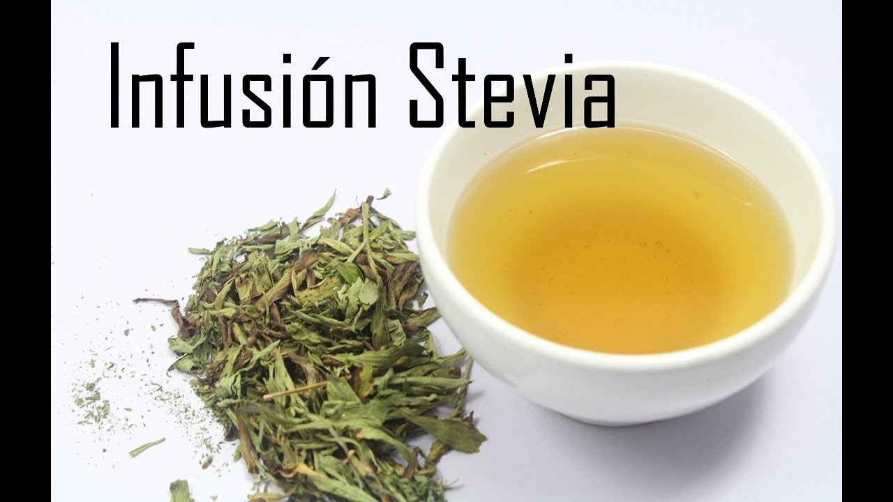 Como preparar infusión de stevia y algunos beneficios de tomar esta bebida para la salud