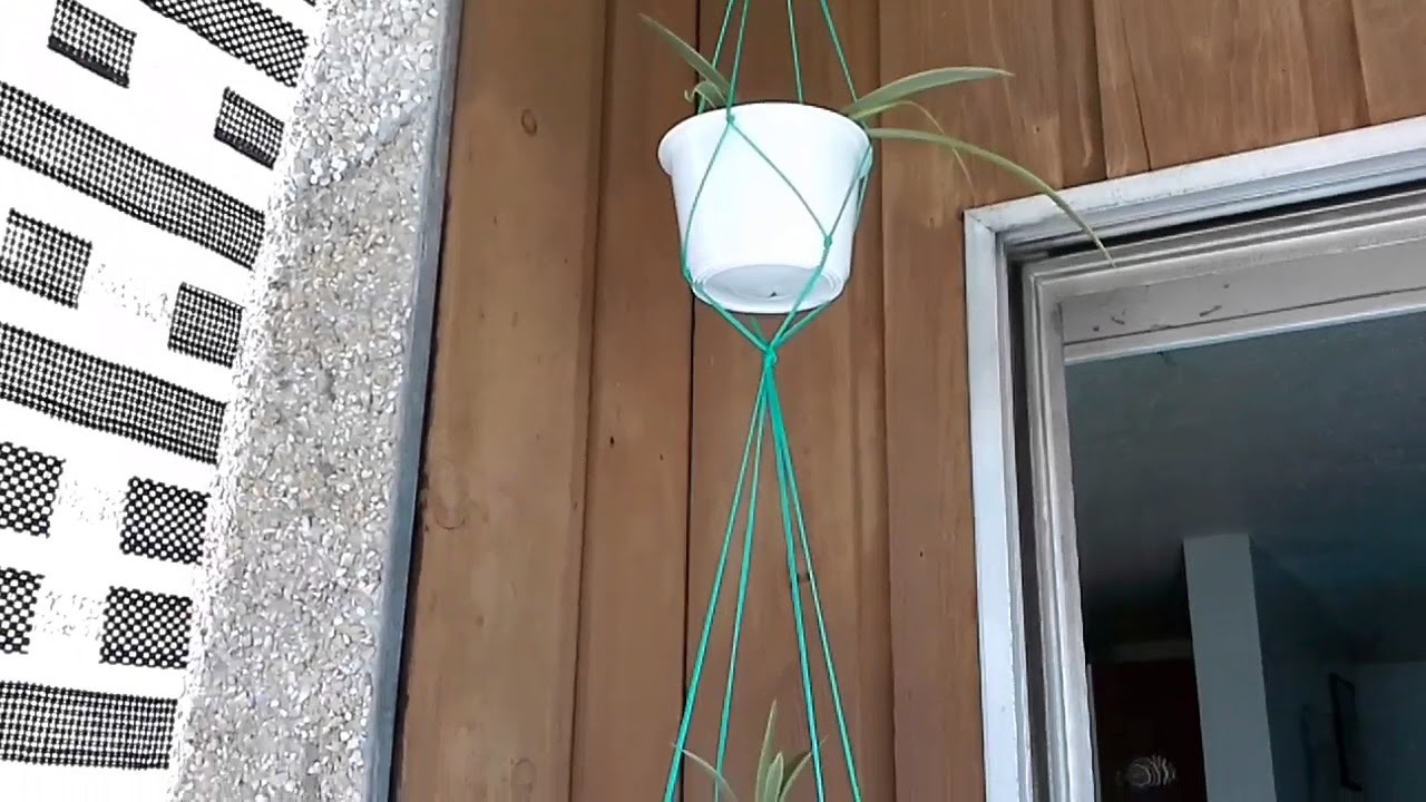 Manualidad : macetas colgantes* spider plant  *???? hanging pots