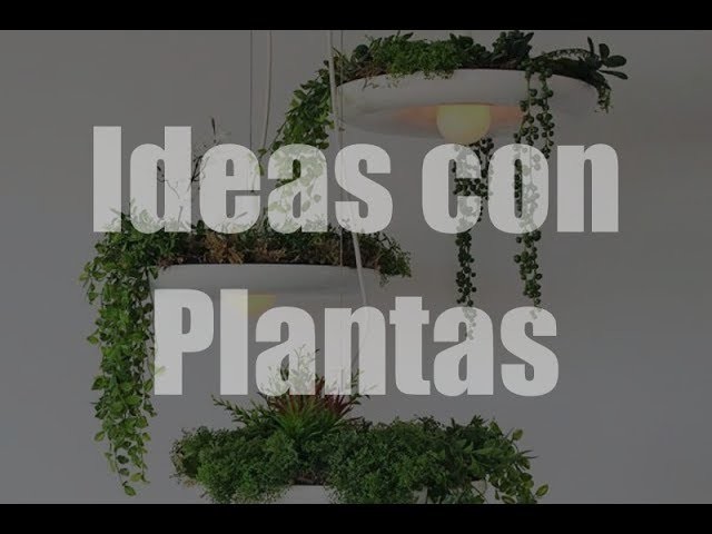 Ideas con plantas, como decorar con plantas
