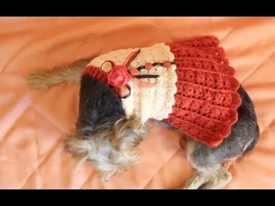 Vestido para perritas.crochet dog dress