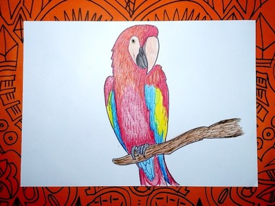 Aprende a dibujar una Guacamaya con colores - Pasos sencillos