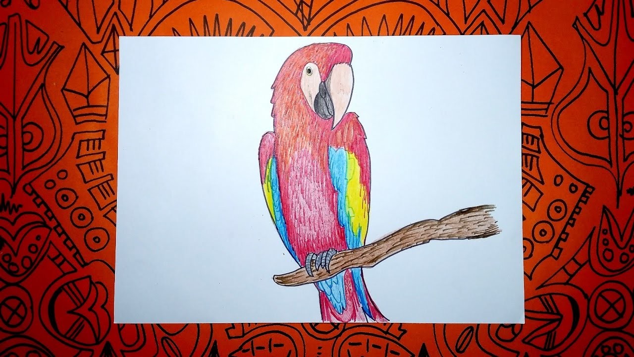 Aprende a dibujar una Guacamaya con colores - Pasos sencillos