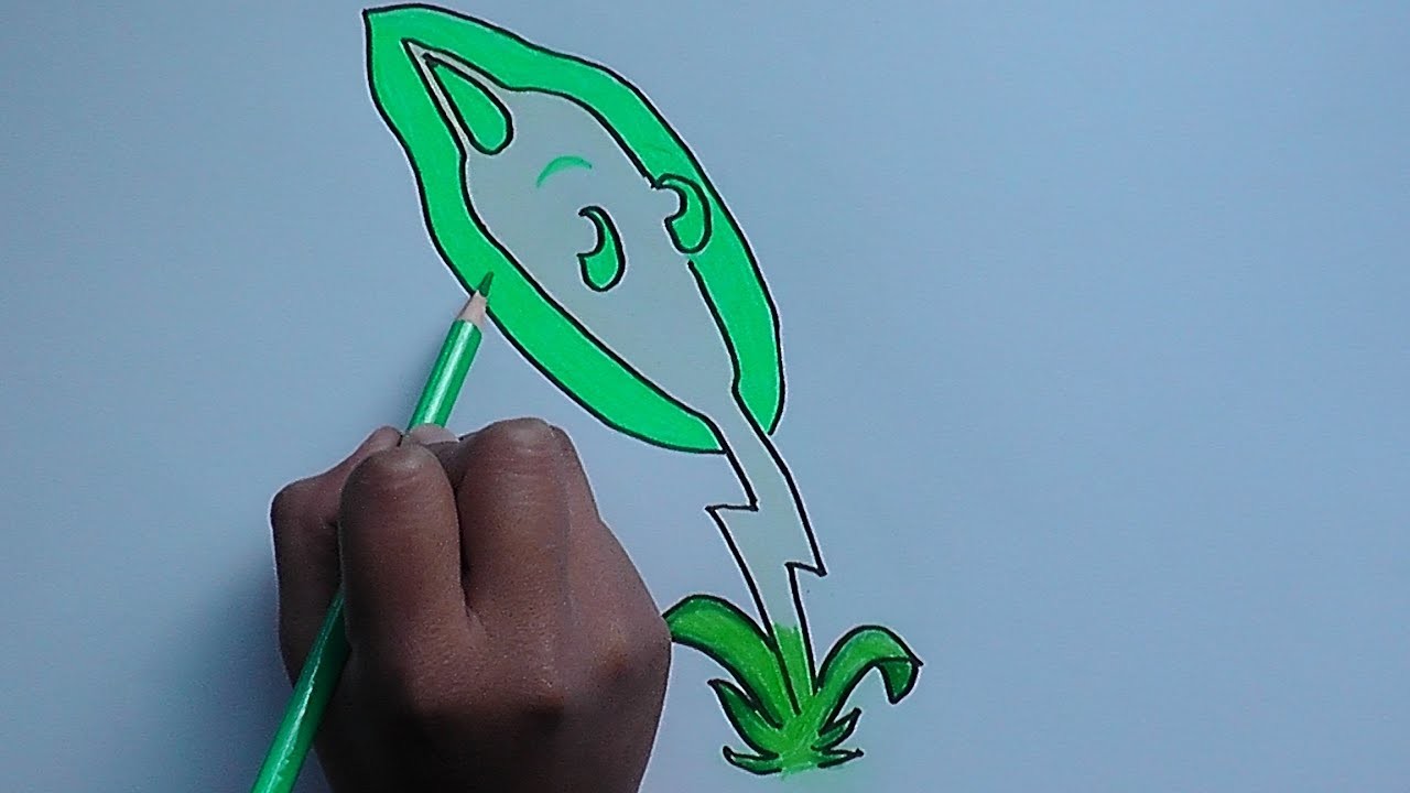 Como dibujar a Junco Electrico (Plantas vs Zombies 2) - How to draw Junco Electrico
