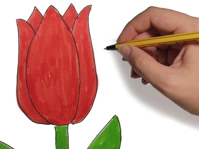 COMO DIBUJAR FLORES: Tulipan facil paso a paso