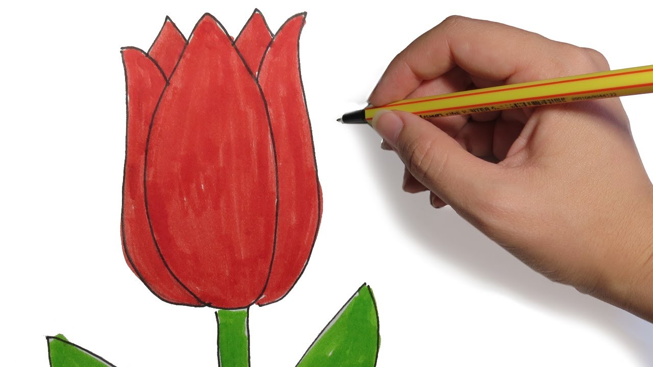 COMO DIBUJAR FLORES: Tulipan facil paso a paso