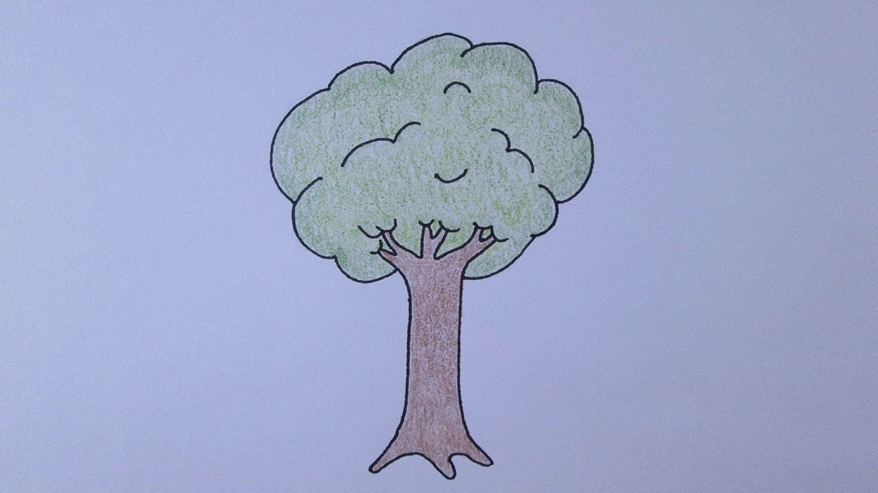 Cómo dibujar un árbol