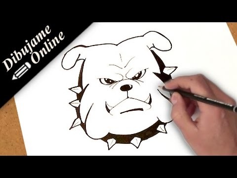 Como dibujar un bulldog | como dibujar un bulldog paso a paso