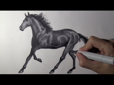 Cómo dibujar un caballo realista - Parte 2