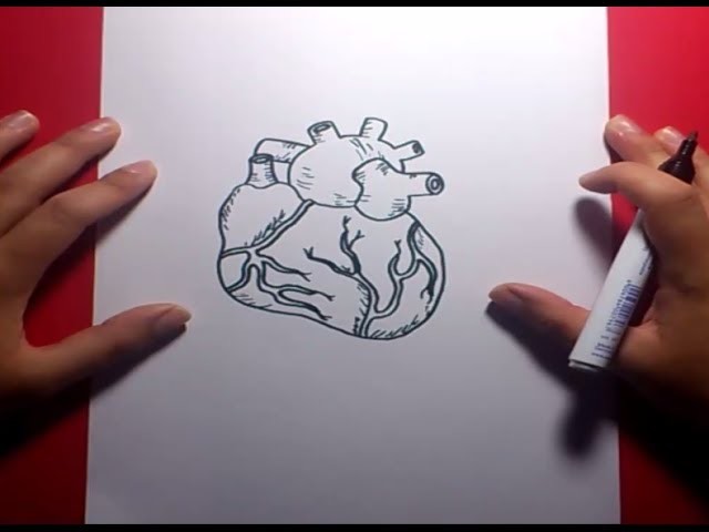 Como dibujar un corazon paso a paso 4 | How to draw a heart 4