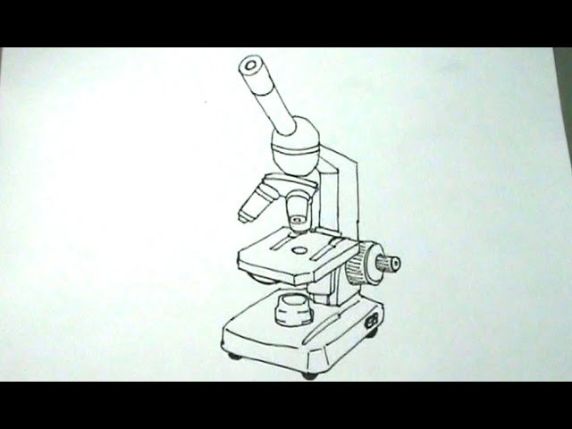 Cómo dibujar un microscopio óptico paso a paso