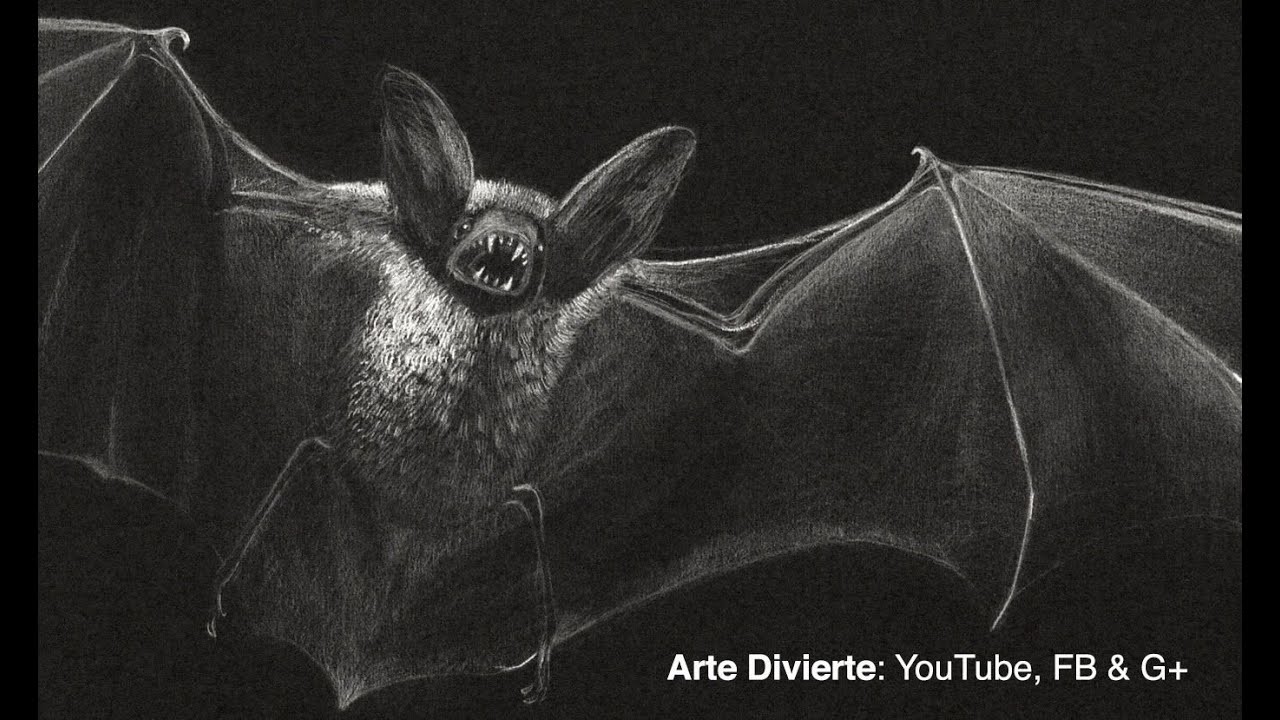 Cómo dibujar un murciélago vampiro!