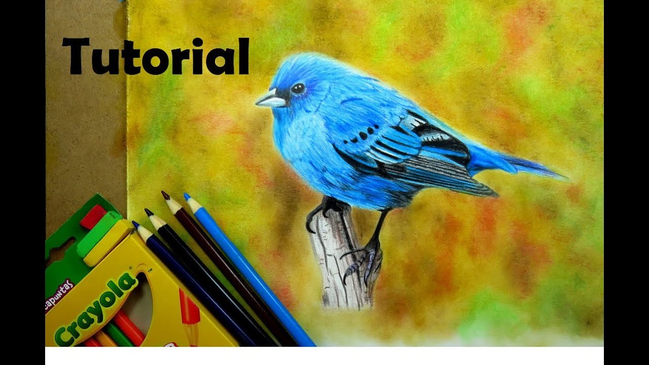 Cómo dibujar un pájaro  - Lápices de colores escolares - How to draw a blue bird