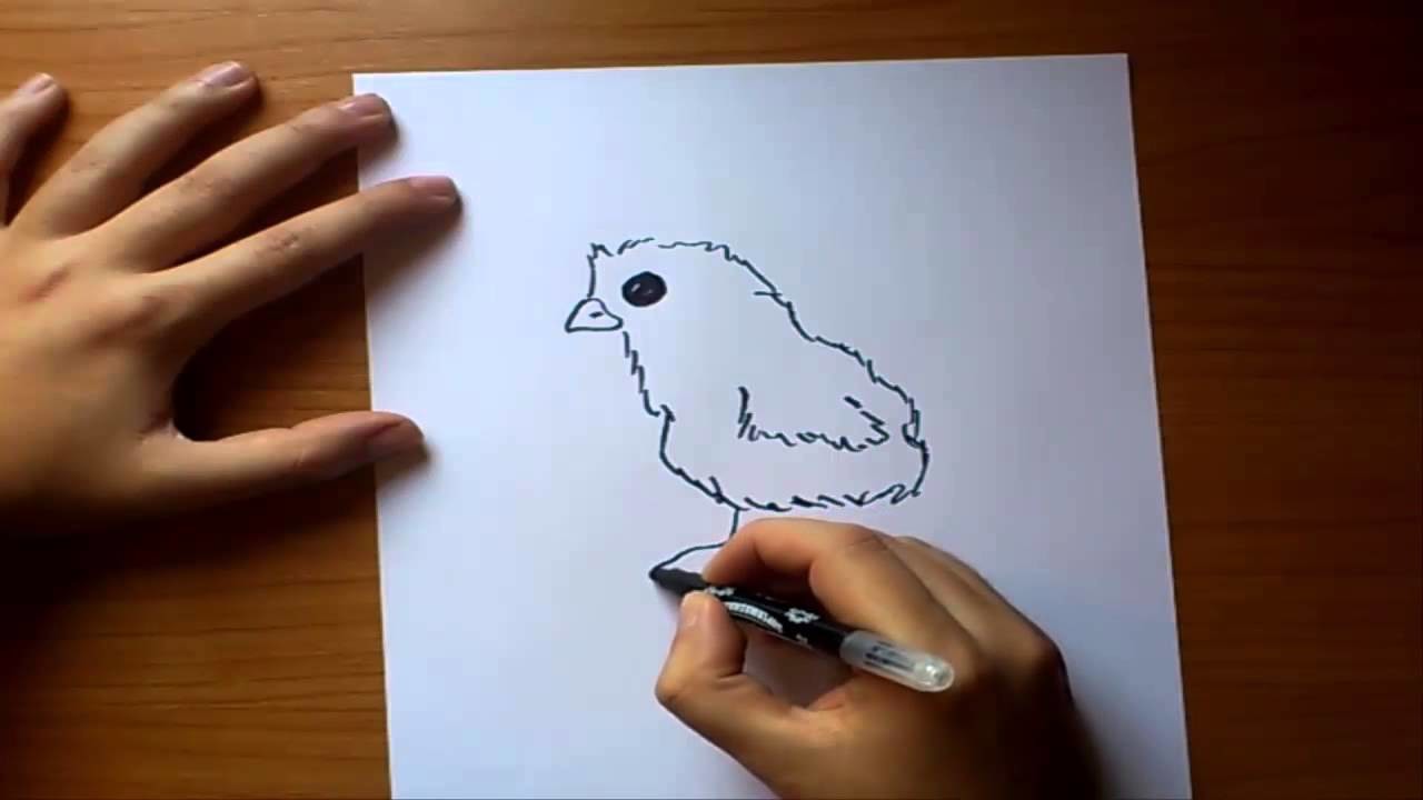 Como dibujar un pollito paso a paso | How to draw a chick