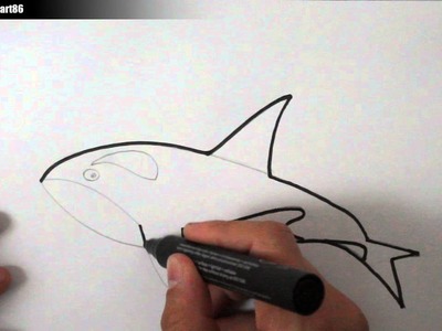 Como dibujar una ballena paso a paso