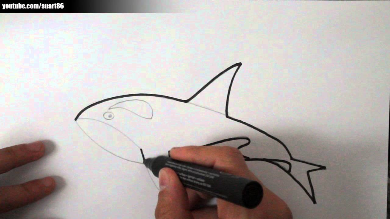 Como dibujar una ballena paso a paso