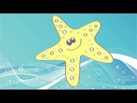 Cómo dibujar una estrella de mar. Dibujos infantiles