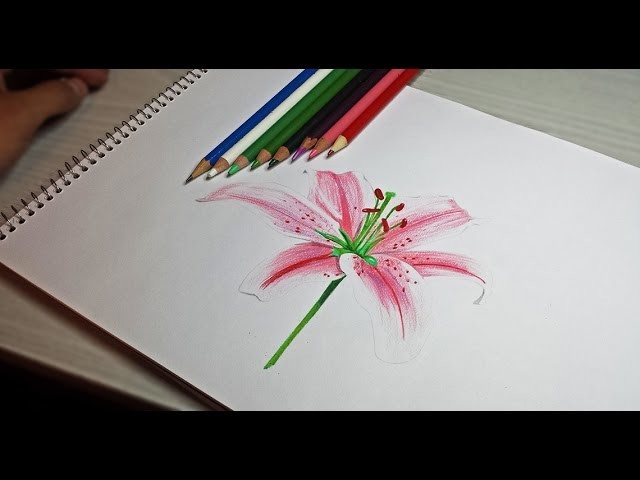 Cómo dibujar una flor - Arte Orta