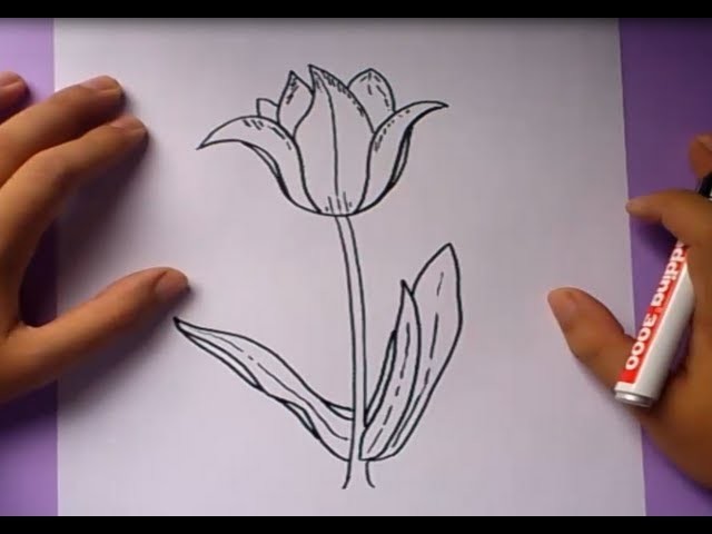 Como dibujar una flor paso a paso 3 | How to draw a flower 3