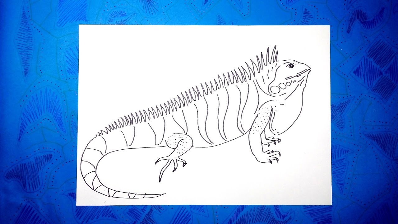Cómo dibujar una iguana fácil paso a paso