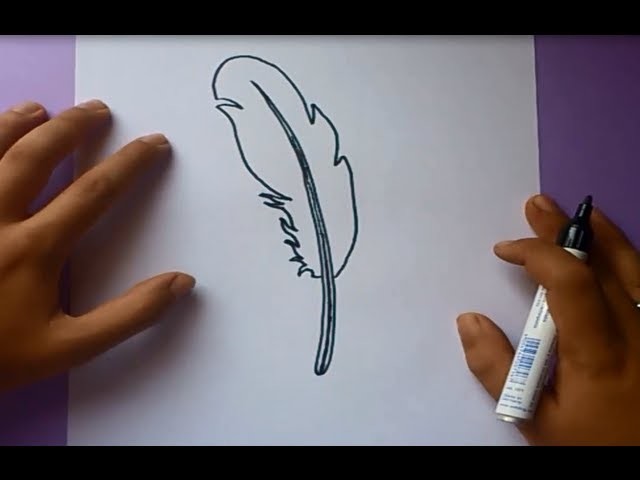 Como dibujar una pluma paso a paso | How to draw a feather