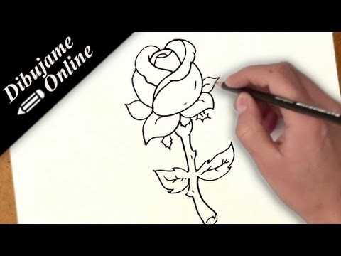 Como dibujar una rosa | como dibujar una rosa paso a paso
