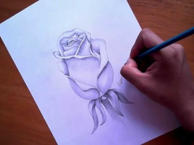 Como Dibujar una Rosa - Esporarte.com