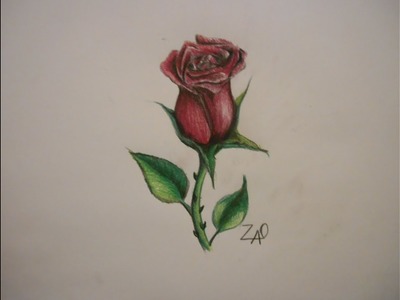 Como Dibujar Una Rosa (Tutorial)