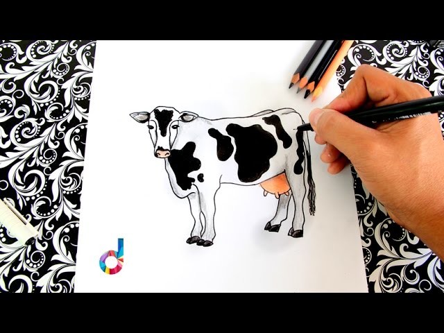 Cómo dibujar y colorear una VACA (paso a paso) | How to draw a Cow