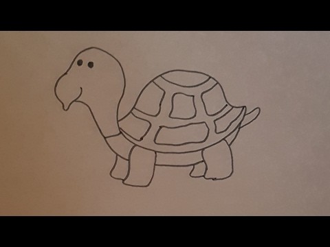 Tutorial como dibujar una tortuga para niños paso a paso HD