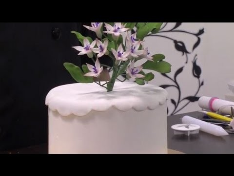 Como hacer un ramillete de jazmin con pasta de azucar - Hogar Tv  por Juan Gonzalo Angel