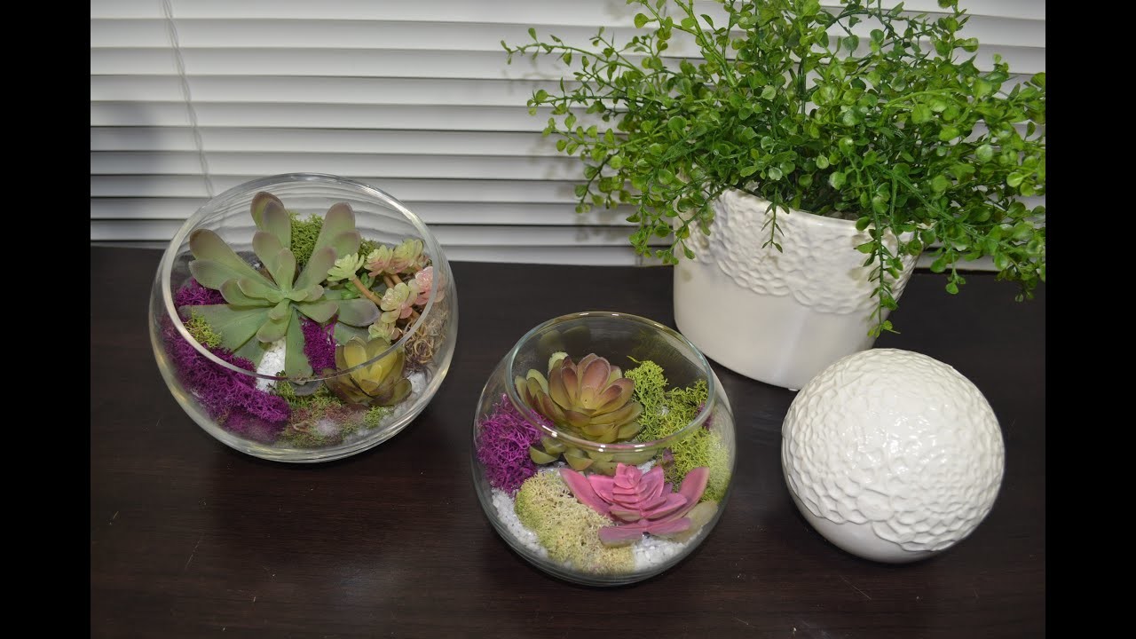 Como hacer un Terrario. Terrarium