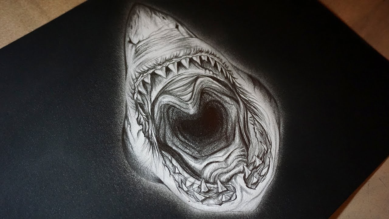 Dibujo Realista de un Tiburón Blanco a lápiz - Dibujando Mandíbulas