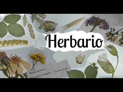 Como hacer un herbario Parte 1 I Recolectar, prensar y secar