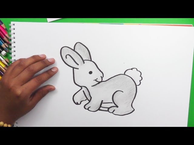 Dibujando y pintando conejo - Drawing and painting rabbit