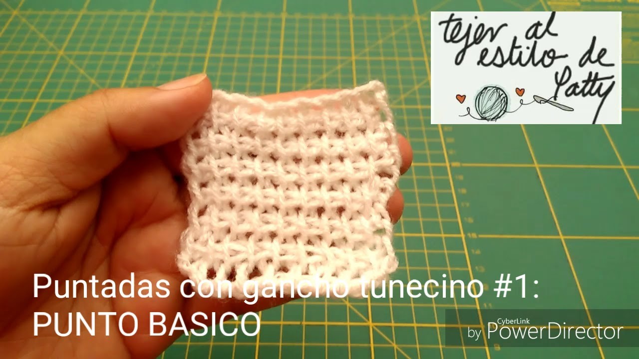 PUNTADAS CON GANCHO TUNECINO #1: PUNTO BASICO