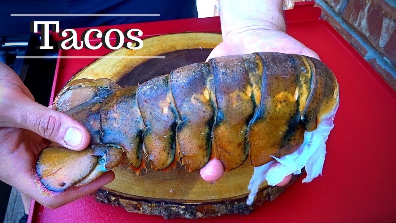 Tacos de Langosta | La Capital
