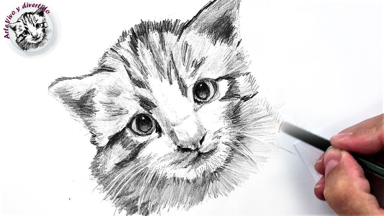 Cómo Dibujar un Gato Pequeño a Lápiz Fácil, Paso a Paso