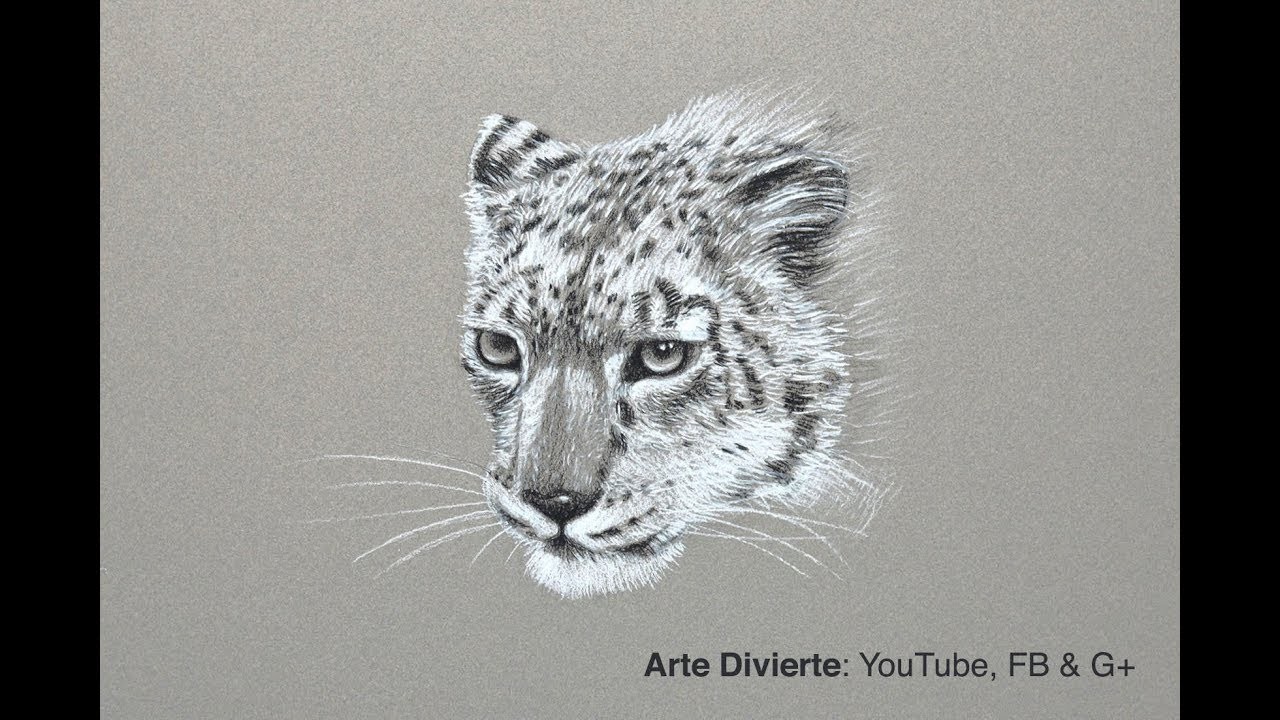 Cómo dibujar un leopardo de las nieves - Narrado